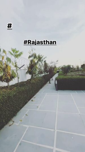 Kamal Digiya Instagram - Falling in love with farm life.💯🕺
.
.
@kamaldigiya__official 
@kamaldigiya__official 
@kamaldigiya__official 
.
.

#digiya #kamaldigiya #office #photo #photography #photographer #instagood #instagram #insta #instadaily #digiyamusic #digiyamusicstudio #trending #trendingreels #viralreels #photooftheday #2024 #jaimatadi #vaishnomata #farmhouse #farmhousebharatpur #rajasthan