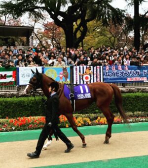 Kanako Enomoto Instagram - シュヴァルグランを応援してくださった方へ‼︎🐎
結果は9着ではありましたが…
ご声援本当にありがとうございました‼︎🙇🏻
残りあと1戦、応援していただけると嬉しいです‼︎🙏 #jra#競馬#ジャパンカップ#2019#スミヨン騎手 #chevalgrand  #🇯🇵 #japancup