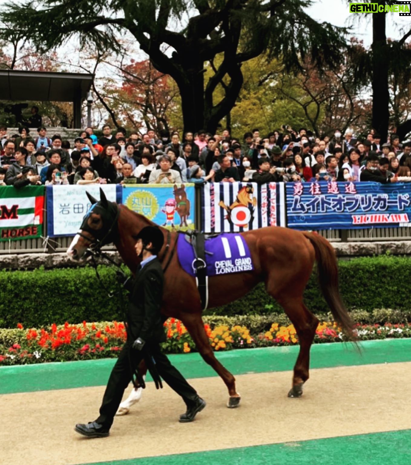 Kanako Enomoto - 2.1K Likes - シュヴァルグランを応援してくださった方へ‼︎🐎
結果は9着ではありましたが…
ご声援本当にありがとうございました‼︎🙇🏻
残りあと1戦、応援していただけると嬉しいです‼︎🙏 #jra#競馬#ジャパンカップ#2019#スミヨン騎手 #chevalgrand #🇯🇵 #japancup