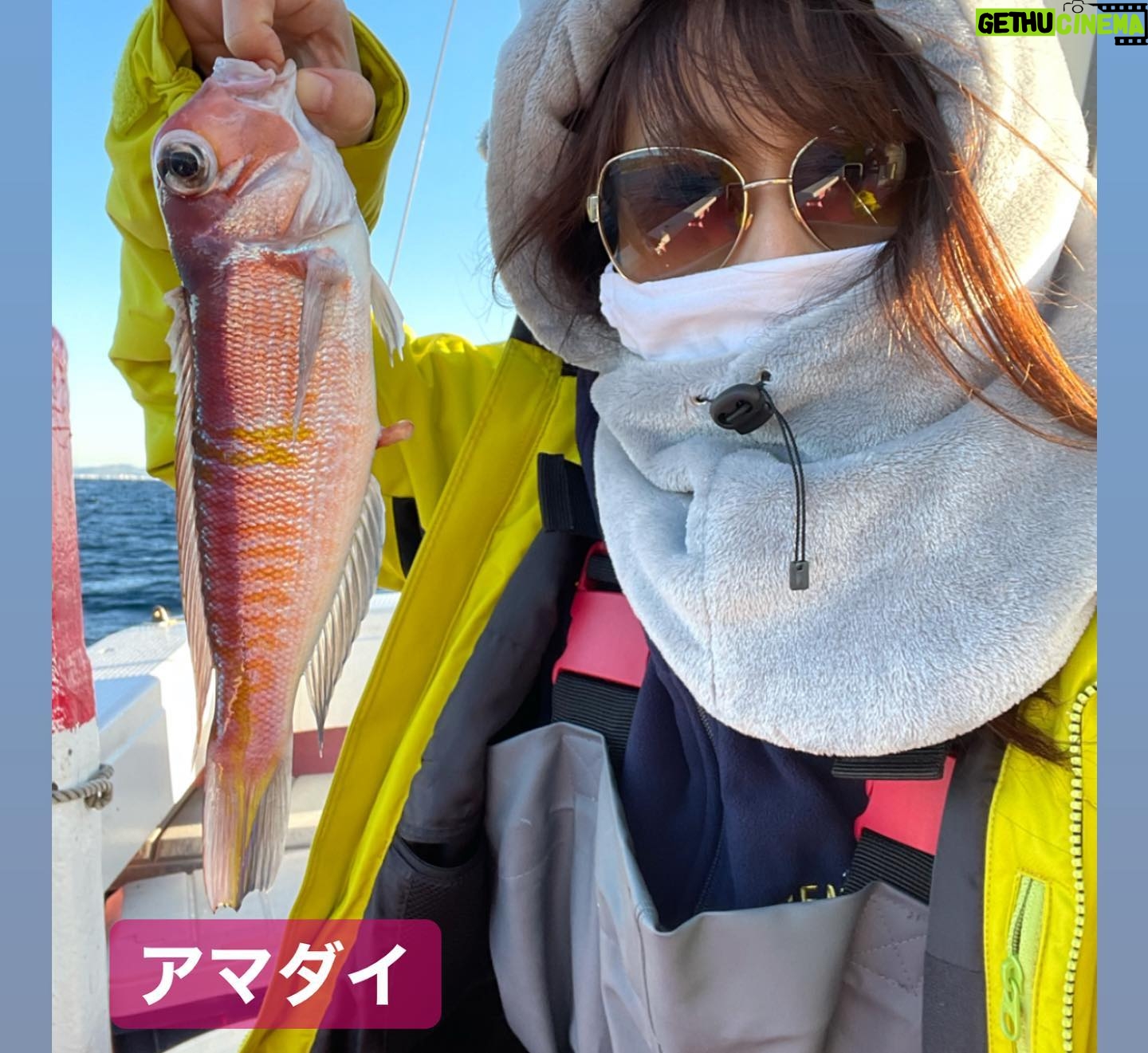 Kanako Enomoto - 3.2K Likes - メインは甘鯛釣りでしたが、色々な魚が釣れました。🎣
釣れればなんでも楽しいっ。💓
#甘鯛#釣り#fishing #大魔神佐々木
#佐々木主浩チャンネル#youtube #チャンネル登録お願いします #🙏
#緑龍丸 #三宅水産 #真鶴