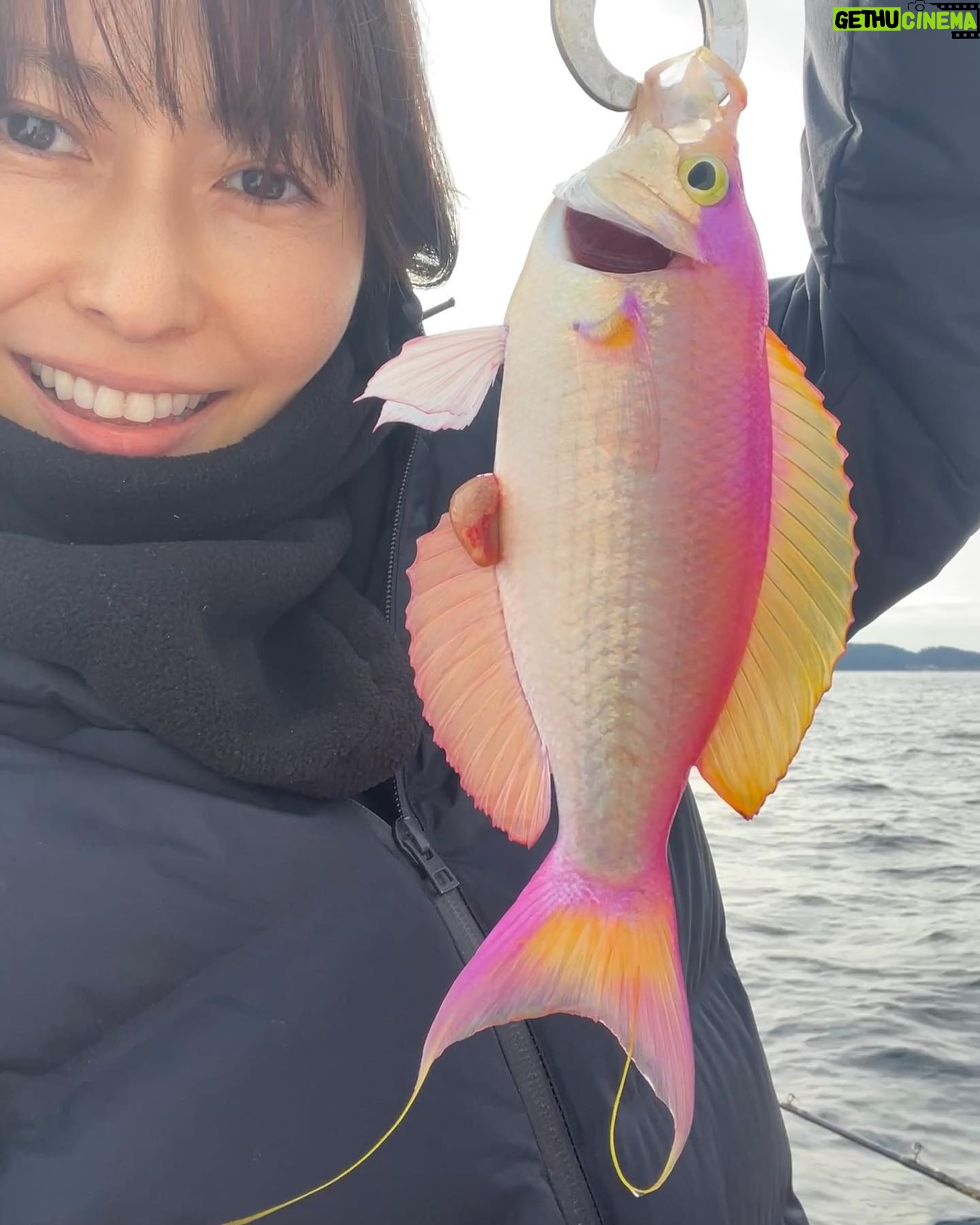Kanako Enomoto - 3.5K Likes - 可愛い魚💕
シキシマハナダイ
#はじめまして シキシマハナダイ
#🎣