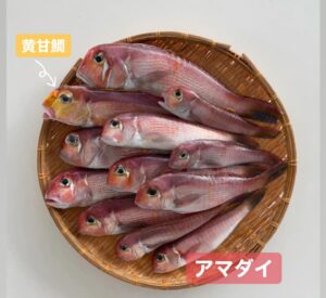 Kanako Enomoto Instagram - メインは甘鯛釣りでしたが、色々な魚が釣れました。🎣
釣れればなんでも楽しいっ。💓
#甘鯛#釣り#fishing #大魔神佐々木 
#佐々木主浩チャンネル#youtube #チャンネル登録お願いします #🙏
#緑龍丸 #三宅水産 #真鶴