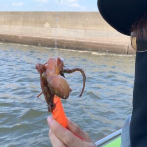 Kanako Enomoto Instagram - 主:「タコ飯が食べたいね！釣りに行こうか？」
っと言う事で久しぶりにタコ釣りの巻🐙
#釣り#タコ#蛸 
#たこめし #酢の物 
#大魔神#釣り好き#佐々木主浩 
#fishing 
#octopus 
#🎣