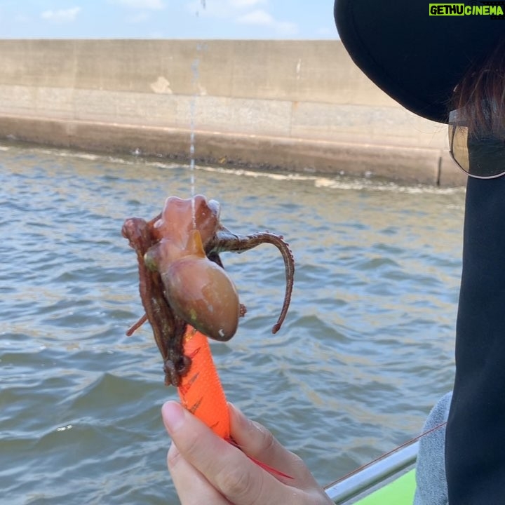 Kanako Enomoto - 2K Likes - 主:「タコ飯が食べたいね!釣りに行こうか?」
っと言う事で久しぶりにタコ釣りの巻🐙
#釣り#タコ#蛸
#たこめし #酢の物
#大魔神#釣り好き#佐々木主浩
#fishing
#octopus
#🎣