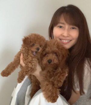 Kanako Enomoto Instagram - ドヴィーくん🐩ヴェルちゃん🐾
#トイプードル #タイニープードル 
#レッド
#男の子 と #女の子 
#dog 
#犬のいる暮らし 
#犬のいる生活 
#犬 
#🐩 #🐾
