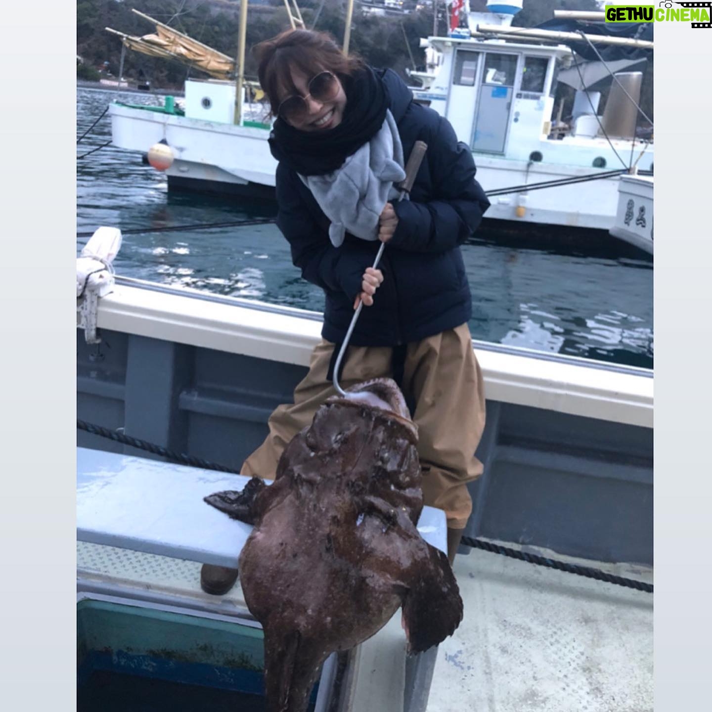 Kanako Enomoto - 2.6K Likes - 今年はじめの写真📷
こちらのアンコウ、鍋にしましたよん😋
#たかし君のお父さんからの#プレゼント#🎁
#アンコウ#佐々木主浩 #insta#フォローお願いします #🙏 #instagood #真鶴
@sasakikazuhirotsuri