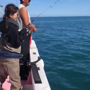 Kanako Enomoto Instagram - #アオリイカ
#釣り
#fishing#🎣#🦑
#instagood
#sea
#happy 
@green_doragon.tks