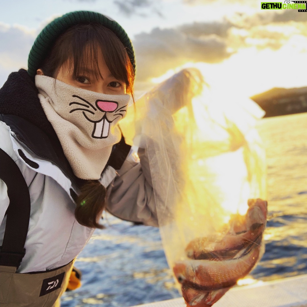 Kanako Enomoto - 2.2K Likes - 明けましておめでとうございます。2019年も宜しくお願い致します‼︎🎍
#甘鯛#アマダイ#釣り
#真鶴##fishing
#佐々木主浩 #釣り好き#❤️ #🐟 #🐭