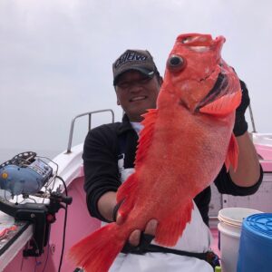 Kanako Enomoto Instagram - きょう主浩さんがまた大きな魚を釣ってました ✨
50キロのアブラボーズとベニアコウ‼︎
船長のタカシ君がすごいのかな？(笑)

クエと違ってぬるぬるしていないらしい🤔

 
暖かくなってきたから私も釣りに行きたい🐟
主浩さん、私も釣りに誘って🥹

#🎣 #海釣り #釣り好き
#自慢話#🤣