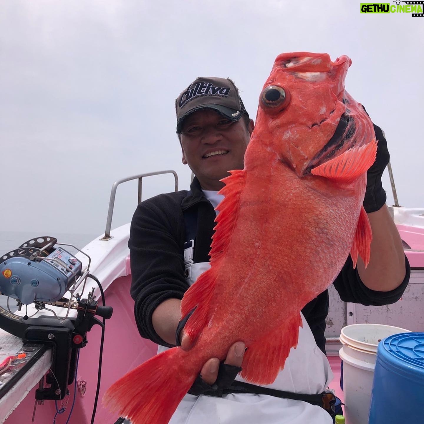 Kanako Enomoto - 3.4K Likes - きょう主浩さんがまた大きな魚を釣ってました ✨
50キロのアブラボーズとベニアコウ‼︎
船長のタカシ君がすごいのかな?(笑)
クエと違ってぬるぬるしていないらしい🤔
暖かくなってきたから私も釣りに行きたい🐟
主浩さん、私も釣りに誘って🥹
#🎣 #海釣り #釣り好き
#自慢話#🤣