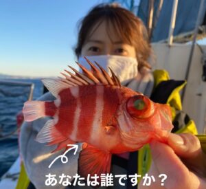 Kanako Enomoto Instagram - メインは甘鯛釣りでしたが、色々な魚が釣れました。🎣
釣れればなんでも楽しいっ。💓
#甘鯛#釣り#fishing #大魔神佐々木 
#佐々木主浩チャンネル#youtube #チャンネル登録お願いします #🙏
#緑龍丸 #三宅水産 #真鶴