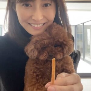 Kanako Enomoto Instagram - ヴェル❤️
#トイプードル
#女の子 
#愛犬