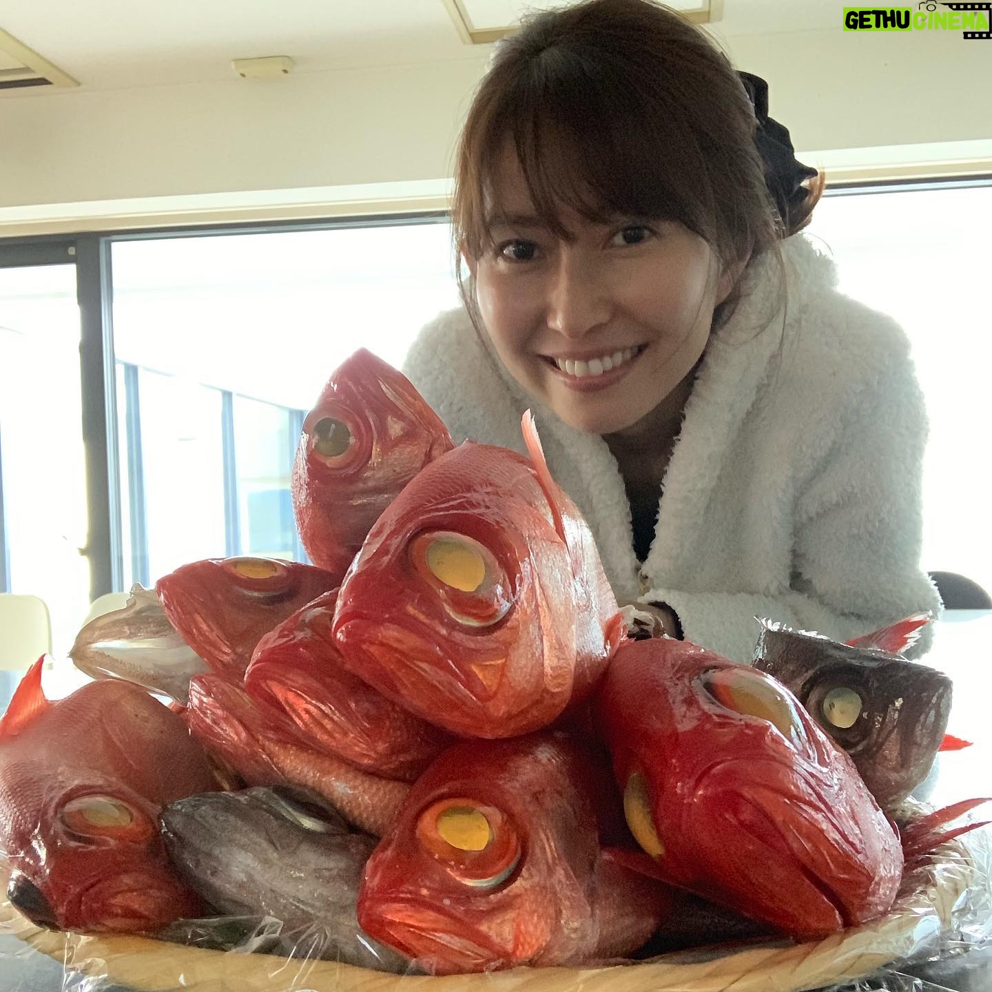 Kanako Enomoto - 3.2K Likes - カヅさんの昨日の釣果🌊
金目鯛とシロムツでした‼︎
今年は釣った魚を干物にして食べる
推しです‼︎🐟 大変遅くなりましたが、本年も宜しくお願い致します。🙏 #金目鯛 #白ムツ
#私は留守番 #キッチン担当
#釣り #大魔神 #釣り好き
#干物 #fishing #🎣