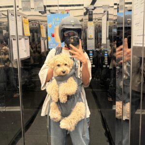 Kang Byul Instagram - 금자랑❤️🐶