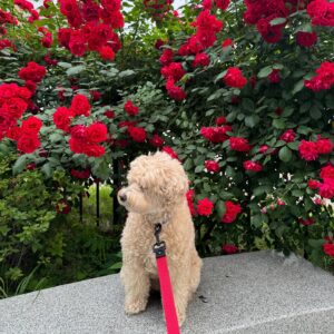 Kang Byul Instagram - 그냥이것저것🙄