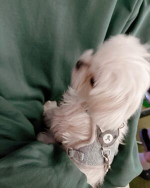 Kang Hui Instagram - 