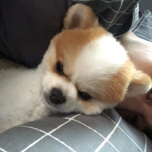 Kang Yul Instagram - 율무보고싶다