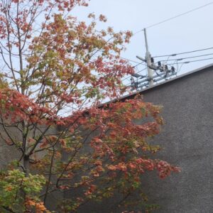 Kang Yul Instagram - 가을이였다🍂🍂