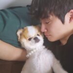 Kang Yul