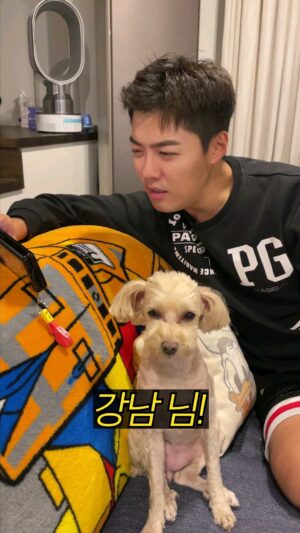 Kangnam Instagram - #광고
어제 넷플릭스에 나온 20세기소녀 봔는데
보니까 예날 생각나고 재미따~~^^

#넷플릭스 #20세기소녀 #10월21일공개