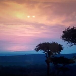 Kangnam Instagram - Real Lion king