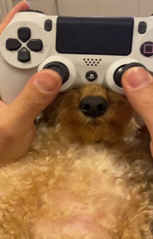 Kangnam Instagram - 케임하는데 방에하지마요... #리아