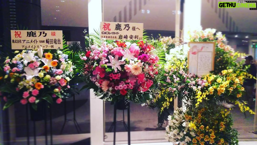 Kano - 1.1K Likes - 遅くなってしまいましたがお花ありがとうございます💐 #フラワースタンド #お花 #嬉しい #東京ライブ #鹿乃