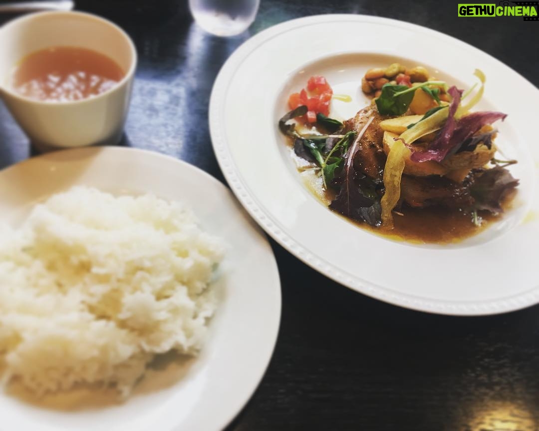 Kano - 1K Likes - 代々木でランチ〜!本当に美味しい(*´-`) #グリーンスポット #京野菜 #ランチ #美味しい