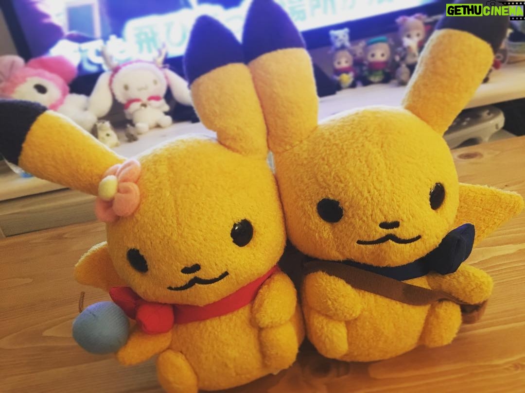 Kano - 0.9K Likes - どこに飾ろうかなあ(n´v`n) #ピカチュウ #ぬいぐるみ #ポケモン
