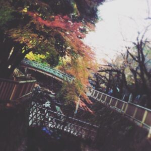 Kano Instagram - 冬の空気は澄んでいてとても好き #散歩 #紅葉 #日本 #水