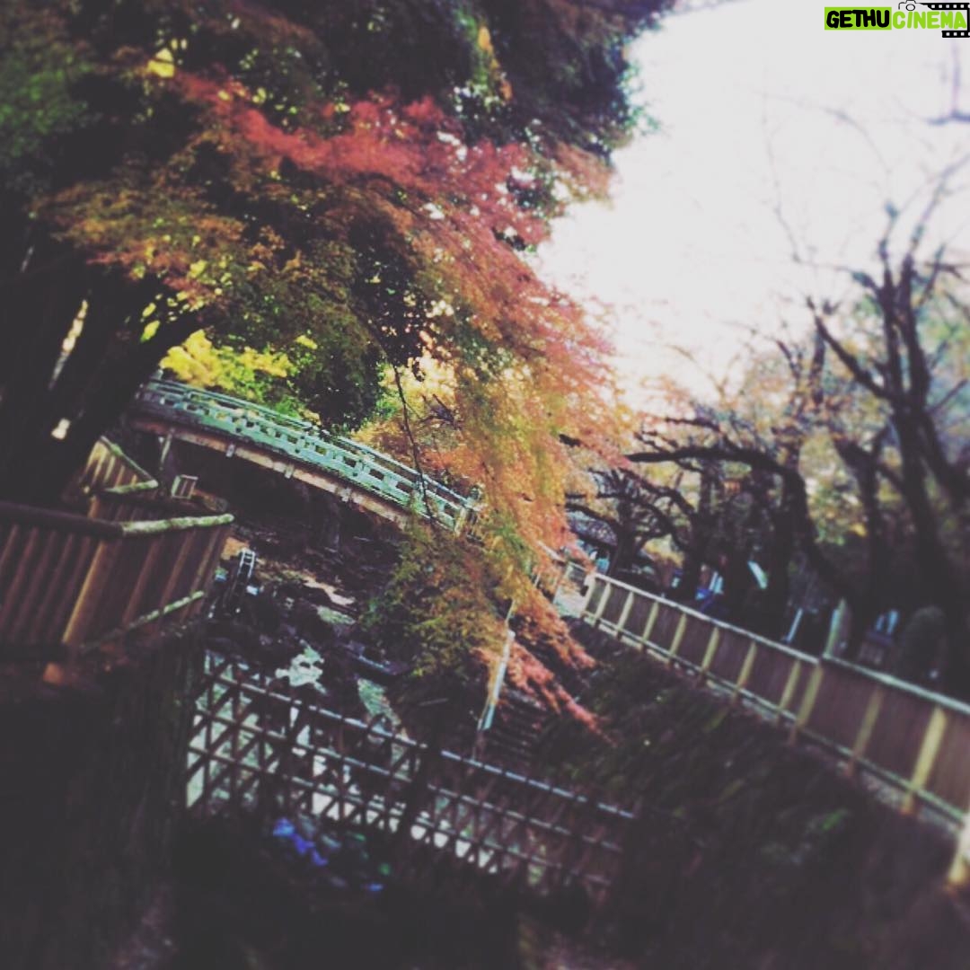 Kano - 768 Likes - 冬の空気は澄んでいてとても好き #散歩 #紅葉 #日本 #水