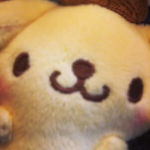 Kano Instagram - 年々高まるサンリオ愛…むふふ。かわいいものに囲まれて生きる幸せ #ポムポムプリン #サンリオ #sanrio #ぬいぐるみ #cute #like #好き