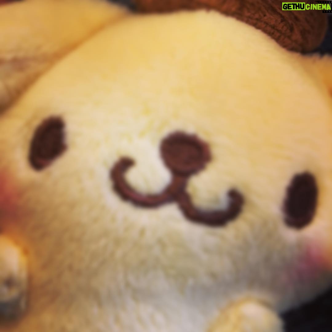 Kano - 752 Likes - 年々高まるサンリオ愛…むふふ。かわいいものに囲まれて生きる幸せ #ポムポムプリン #サンリオ #sanrio #ぬいぐるみ #cute #like #好き