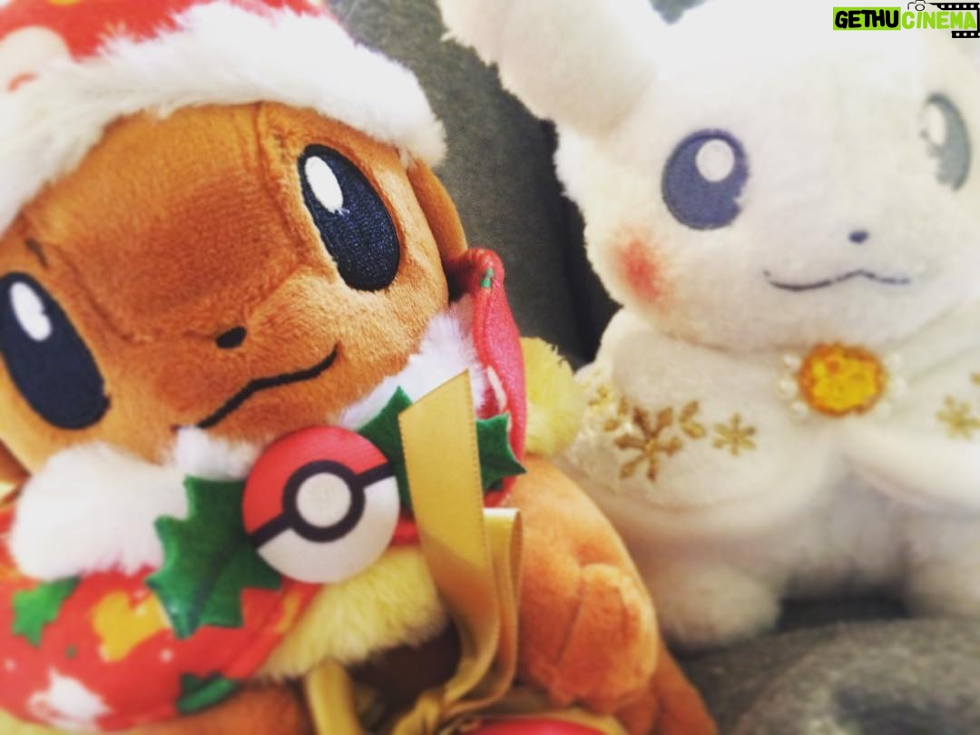 Kano - 783 Likes - どこもかしこも冬支度(^ν^) #ポケモン #クリスマス #冬 #ぬいぐるみ