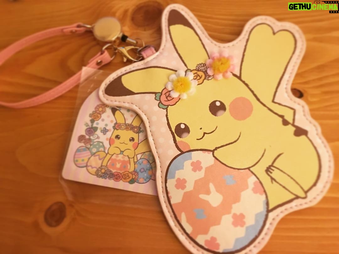 Kano - 1K Likes - パスケース〜かわいいかわいい明日から電車乗るの楽しみだよ(*´-`) #pokemon #パスケース #pikachu #like