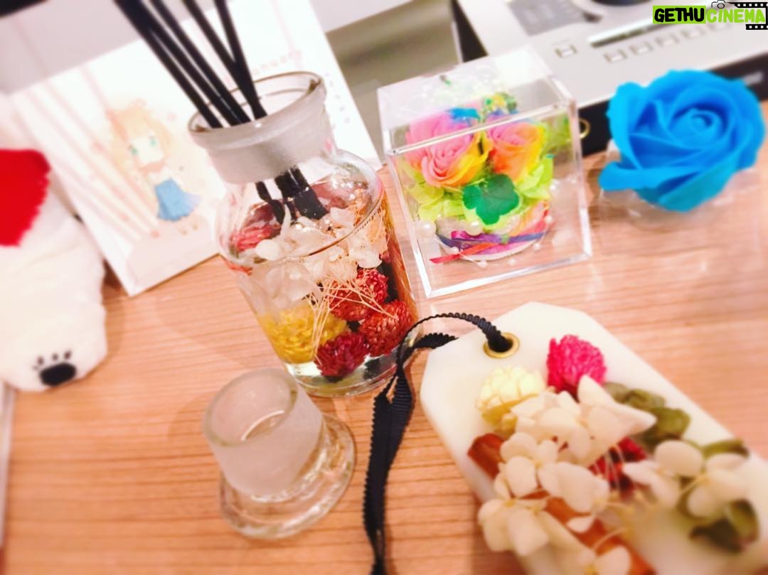 Kano - 1.2K Likes - ライブまであと約20日!目と耳でリラックスするぞ〜チケットまだ発売中なのでぜひきてね詳しくは鹿乃公式HPをご覧ください(*'▽'*) #プリザーブドフラワー #ディフューザー #バラ #鹿乃 #ライブ