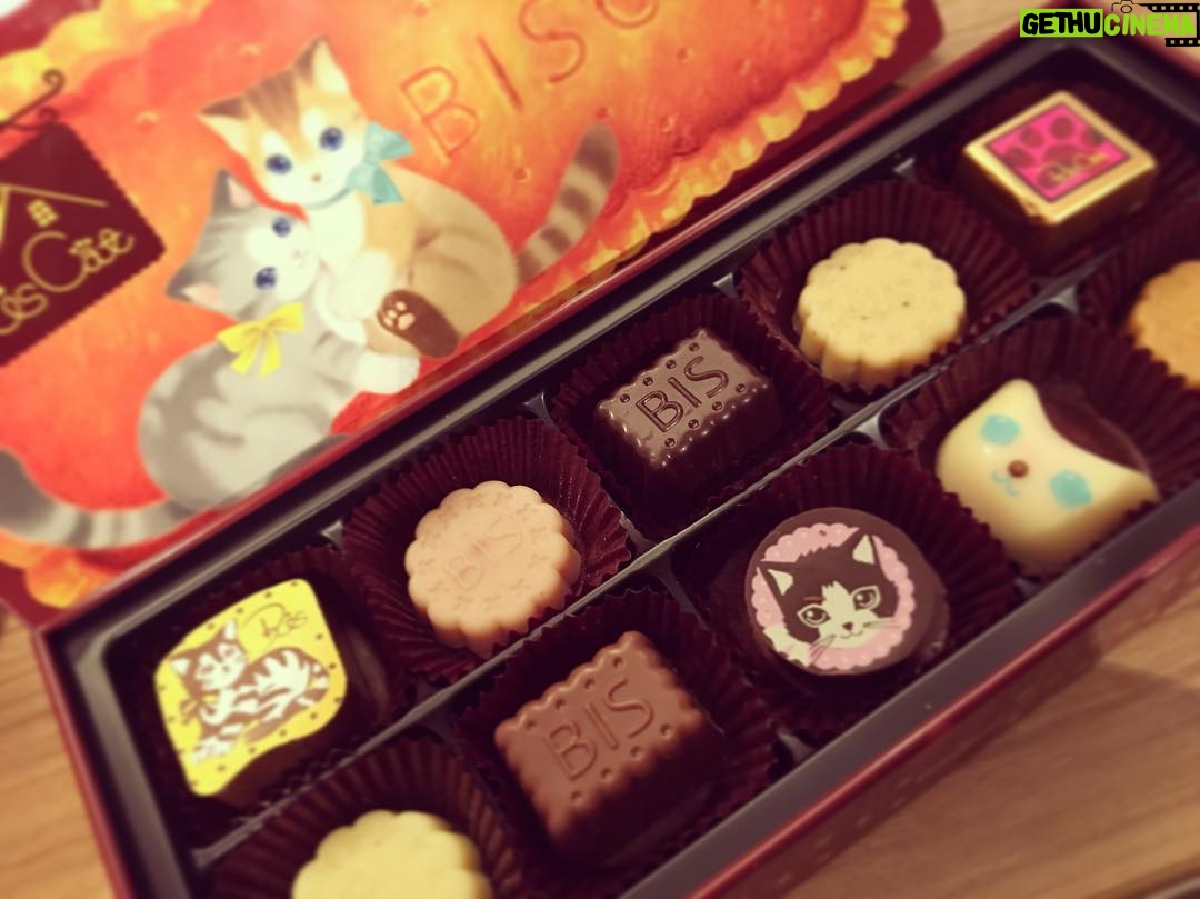 Kano - 896 Likes - バレンタインデーに水玉さんにもらった〜〜すっっごい可愛い!食べるのもったいない(o^^o) #バレンタイン #猫 #チョコレート #鹿乃