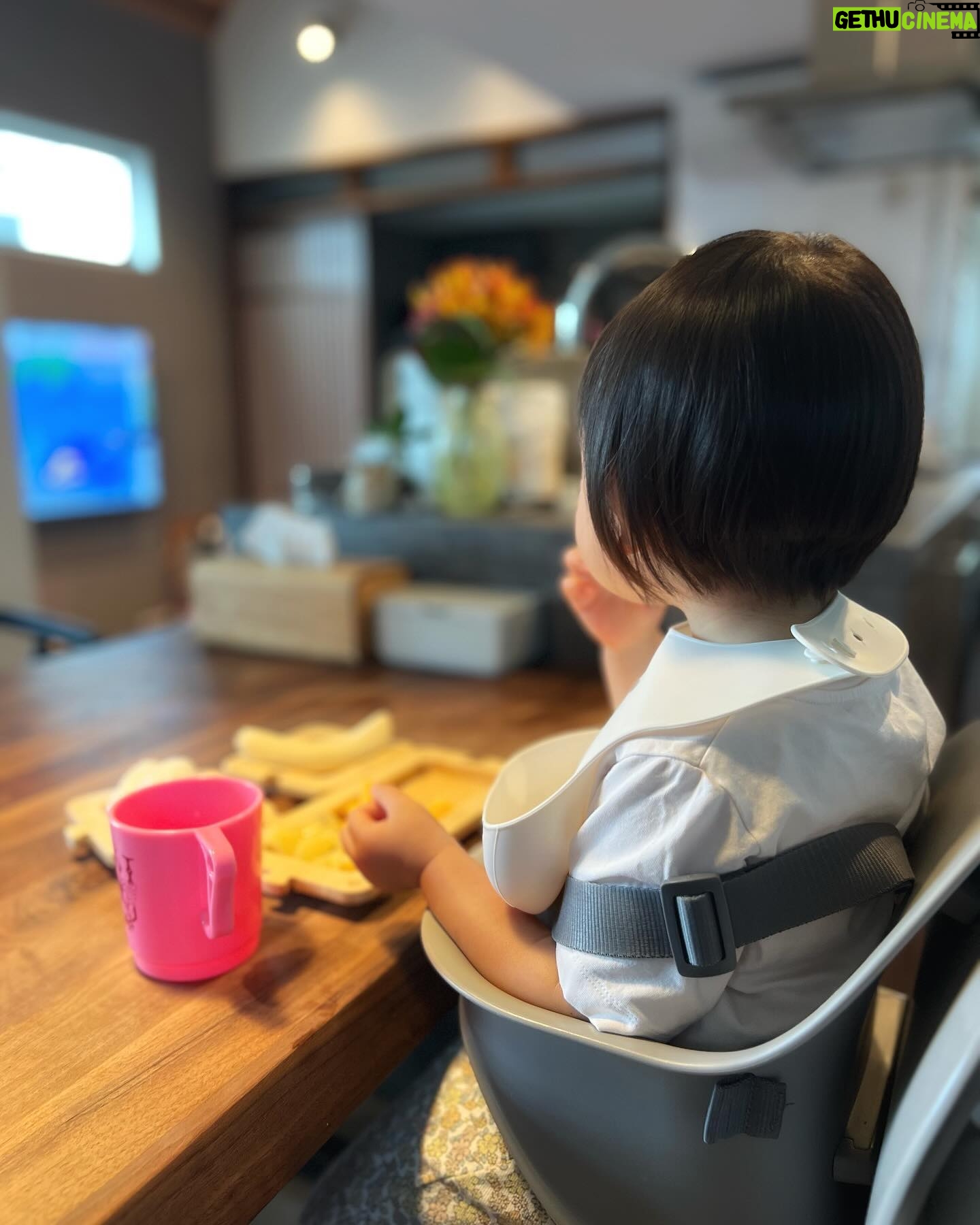 Kaori Nazuka - 827 Likes - ✂︎
チビたんの後ろ髪
初めて切った〜♡
(記念筆を作りたかったんだけど
薄毛ちゃんだったのでようやく…♡)
初めてにしては
なかなか上手く切れた気がする…✨
…いや…よく見るとガタガタだし
斜めになっておりますが…😂
まぁ、可愛いから良し!!w
髪切ったら
また一段と
大人っぽくなったなぁ…☺️
チビたんでは
なくなりつつあるのが
嬉しくもあり
少しだけ寂しくもある…🥲