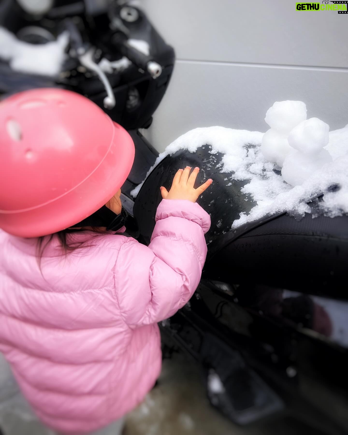 Kaori Nazuka - 0.9K Likes - ⛄️
本日はスロースタートだったので
ちびたんとちょっぴり雪遊びして
朝から珈琲タイムまでしちゃいました❄️💕
前回の雪地獄wとは打って変わって
ハッピーな一日の始まり♡
さぁ!お仕事頑張るぞ!!
皆さまも楽しい一日を♡