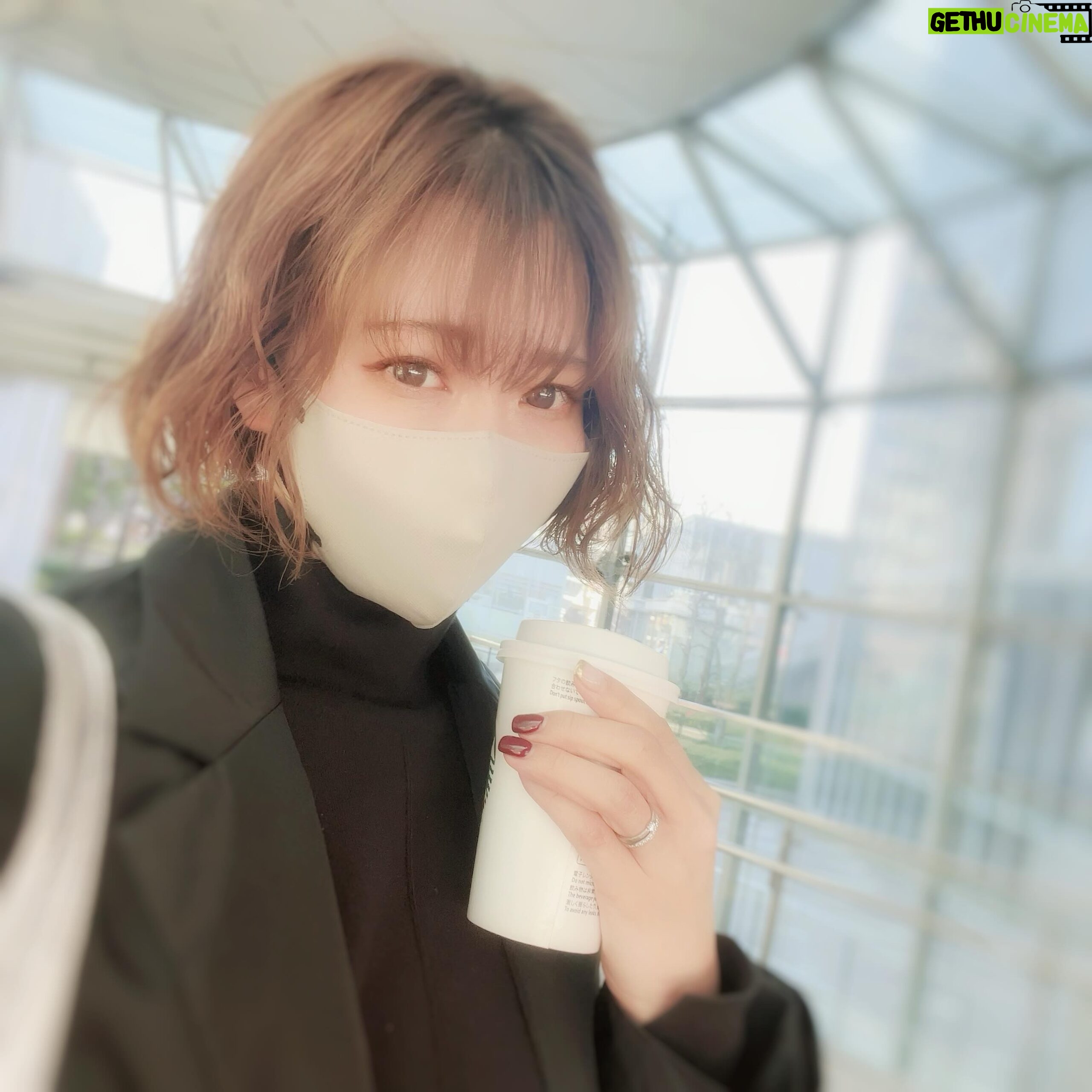 Kaori Nazuka - 0.9K Likes - 🔆
今日は晴れたね〜🔆
空気は冷たいけど
心地良い…♡