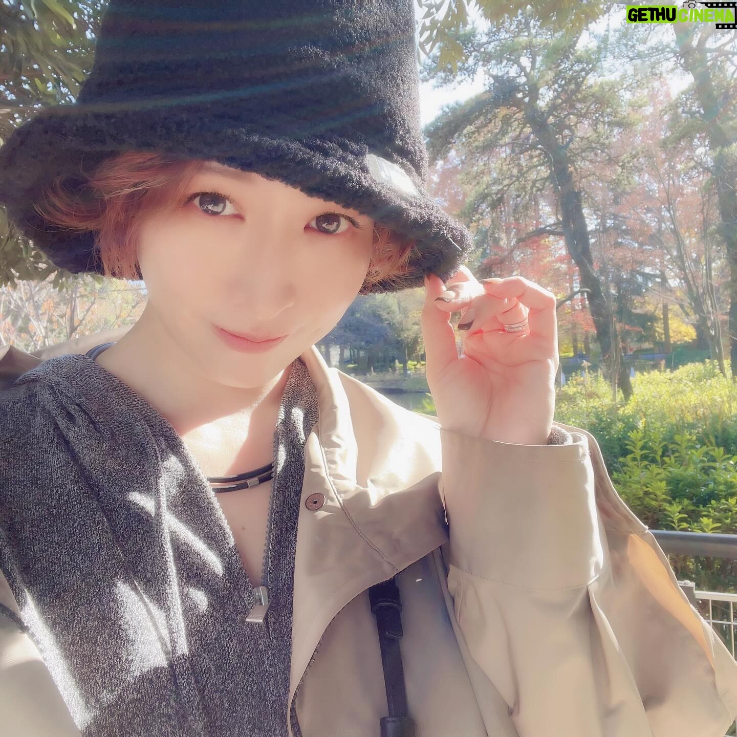 Kaori Nazuka - 807 Likes - ⛲️
今日も午前中は時間できたので
公園散歩🌿
とっても心地良い天気🕊️