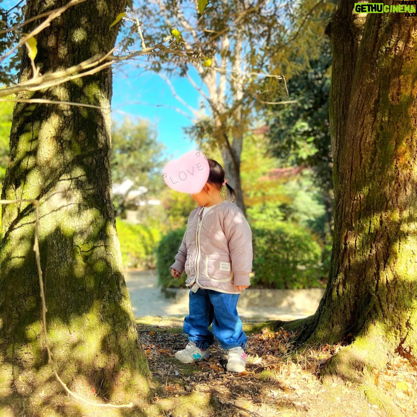 Kaori Nazuka - 807 Likes - ⛲️
今日も午前中は時間できたので
公園散歩🌿
とっても心地良い天気🕊️
