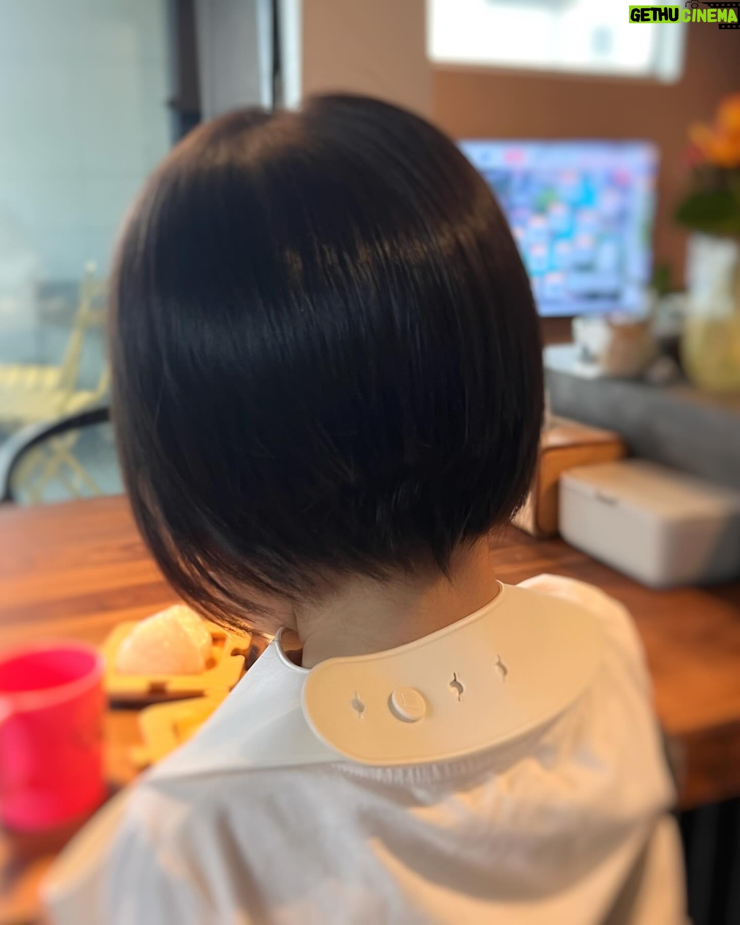 Kaori Nazuka - 827 Likes - ✂︎
チビたんの後ろ髪
初めて切った〜♡
(記念筆を作りたかったんだけど
薄毛ちゃんだったのでようやく…♡)
初めてにしては
なかなか上手く切れた気がする…✨
…いや…よく見るとガタガタだし
斜めになっておりますが…😂
まぁ、可愛いから良し!!w
髪切ったら
また一段と
大人っぽくなったなぁ…☺️
チビたんでは
なくなりつつあるのが
嬉しくもあり
少しだけ寂しくもある…🥲