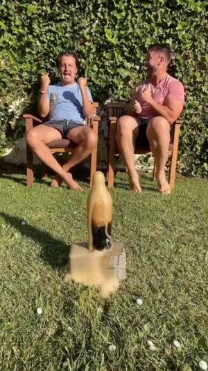 Kapinha Instagram - Qual o desafio mais dificil? 🤯 
Digam lá se não foi o meu? 😎😄

#challenge #desafio #impossivel #amazing #kapinha #cocacola #mentos #incrivel #competition
