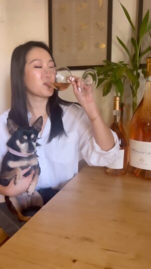 Kara Wang Instagram - #SommelierSunday 🍷 nothing beats a crisp glass of rosé on a warm LA evening, and nothing beats the flavor and texture of @thewhisperingangel from Château d’Esclans 🩷 this has been my go-to rosé since I was introduced to it in Beijing back in 2012. with long notes of strawberry and apricot, it is elegant, well rounded, and always ALWAYS delicious. 🤤

and look at the size of that imperial bottle!!! 😱😱😱 fun fact: an imperial is equivalent to 8 standard bottles aka 40 glasses of wine!!! who’s coming over? 🥂

#sommelier #rose #whisperingangel