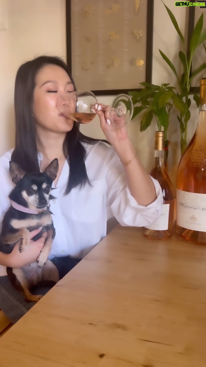 Kara Wang - 3 Likes - #SommelierSunday š· nothing beats a crisp glass of rosĆ© on a warm LA evening, and nothing beats the flavor and texture of @thewhisperingangel from ChĆ¢teau dāEsclans š©· this has been my go-to rosĆ© since I was introduced to it in Beijing back in 2012. with long notes of strawberry and apricot, it is elegant, well rounded, and always ALWAYS delicious. š¤¤
and look at the size of that imperial bottle!!! š±š±š± fun fact: an imperial is equivalent to 8 standard bottles aka 40 glasses of wine!!! whoās coming over? š„
#sommelier #rose #whisperingangel