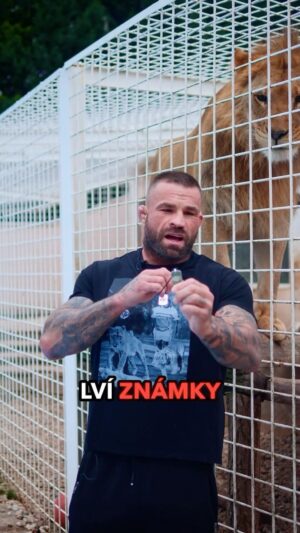 Karlos Vémola Instagram - 🤝 V rámci “Odvety století” jsme ve spolupráci s českou společností Repubo připravili pro fanoušky 🦁 Lví známky. 

👊 Pro mě jsou symbolem vytrvalosti a touhy vítězit. Odkaz naleznete v BIO - LVI ŽEROU PRVNÍ!