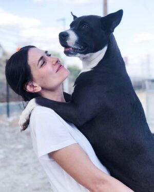 Karolina Wydra Instagram - Thank you for these photos. @staceycphotos My beautiful Puerto Rican beauty, Tootsie. #adoptdontshop @soulsofsatos @thepuertoricodogfund