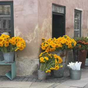 Karoline Hamm Instagram - Mange blomster meget hygge 💋💋💋💋💋 annonce