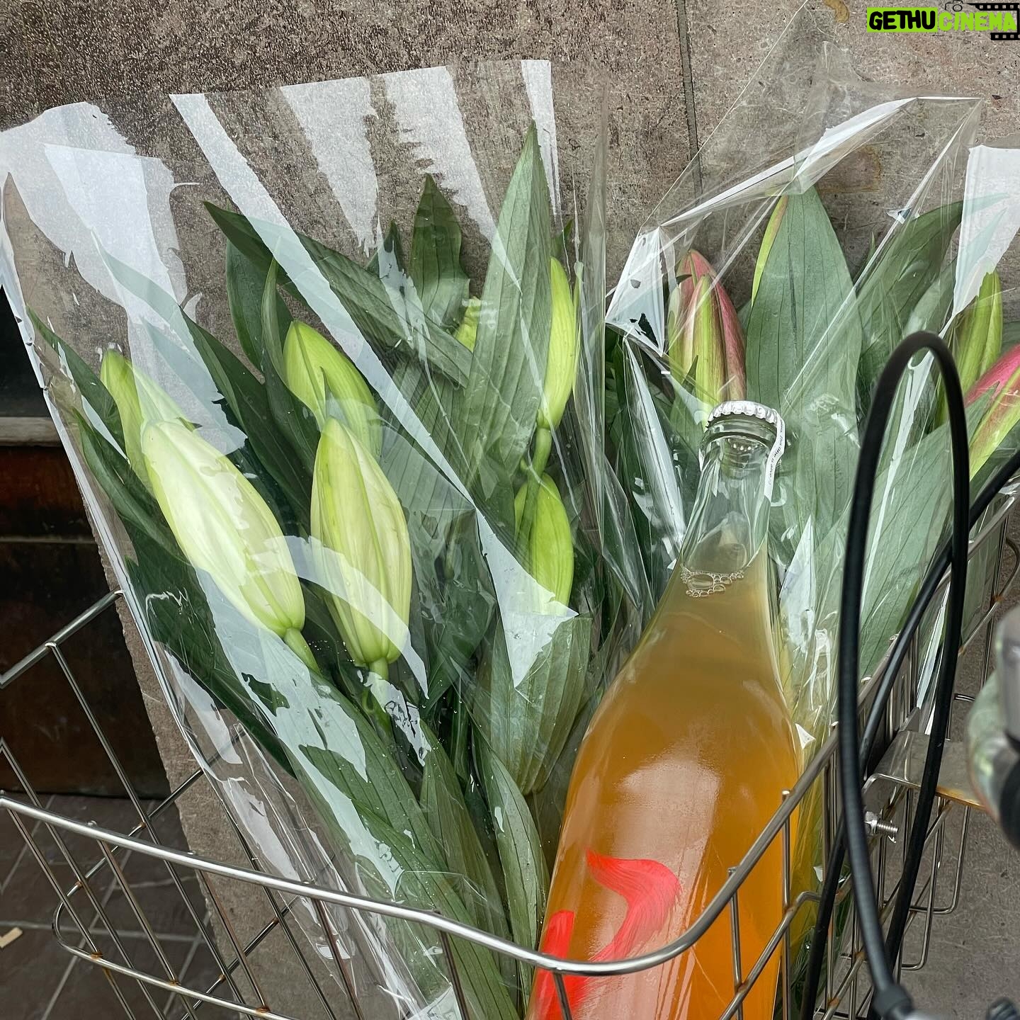 Karoline Hamm - 1.7K Likes - Mange blomster meget hygge 💋💋💋💋💋 annonce